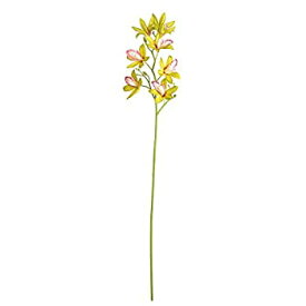 【中古】【輸入品・未使用】Vickerman fa188904?Green Orchid Floral Stem、6ピース