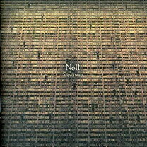 楽天市場】nell 韓国（CD・DVD）の通販