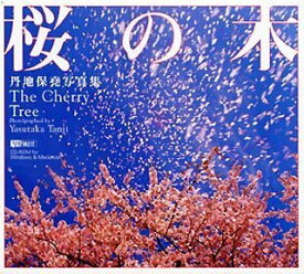 【中古】丹地保堯写真集 桜の木 The Cherry Tree