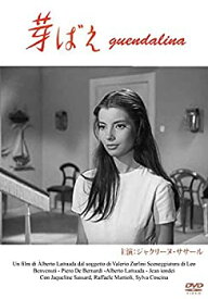 【中古】【未使用】芽ばえ [DVD]