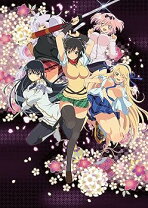 楽天市場】閃乱カグラ Blu－rayの通販 