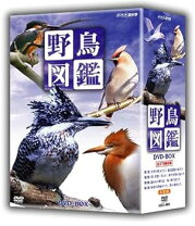 楽天市場】テイクアウト! dsシリーズ(2) にっぽんの野鳥大図鑑の通販 