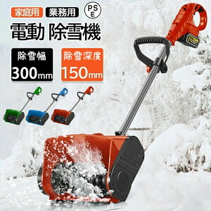 d@ R[hX @ [d Ⴉ d XRbv ƒ Ɩp y ᕝ30cm dXRbv }L^21Vobe[݊Ήi ^@ pi Vx y ֗ Ⴉp