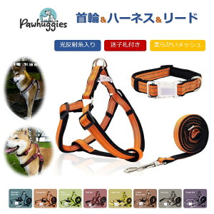  n[lX [h  3_Zbg  ybgp  Ȃ _炩 ɂȂ @\ U  ^ ^ ^ ֗  Lk NbV Ռz  