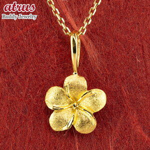 24 lbNX gbv fB[X  nCAWG[ vA 24k S[h k24 y_ggbv lC  jp