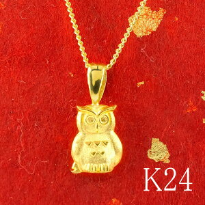 y_ggbv  24 fB[X S[h tNE 24k k24  ӂ낤 Vv lC 