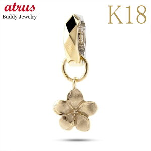 18 sAXp[c 18k vA nCA Ў h  CG[S[hk18 `[ sAXp COp v[g lC WG[ Mtg Vv jZbNX jp l 