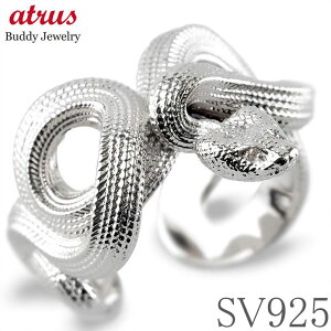 wr  O t[TCY w Vo[  Xl[NO _Ch N x L N SILVER sv925 sL[O _C WG[  n i g a v[g