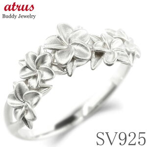 Vo[ O w fB[X vA Vv nCAWG[  t[ sL[O  w ΂Ȃ sv925 n i g lC WG[ LO a v