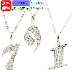 v`i lbNX Y Vv `F[ y_ggbv Iׂ鐔 pt900 _Ch io[  lC _C j  X^_[h v[g Mtg ig