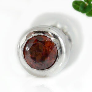 ファーストピアス ガーネットの人気商品 通販 価格比較 価格 Com