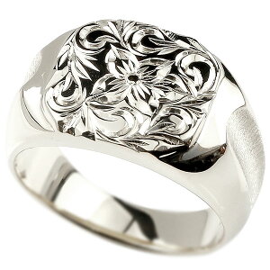 nCAWG[ v`i O Y w  VOlbgO pt900 L  nCA XN[ vA gW[n^[ lC j Vv t@bVO 