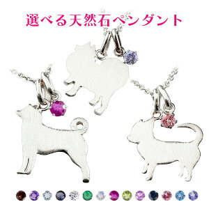y_ggbv Vo[ fB[X Iׂ錢 Č ` |jA IׂVR ꗱ  sv925  Ck  v[g Aj}   lC ig