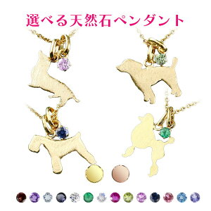 y_ggbv 18 k18 fB[X IׂVR _bNXtg X^_[hv[h ViEU[ gCv[h ꗱ  CG[S[hk18 sNS[hk18  Ck Aj} 