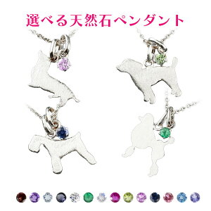 y_ggbv Vo[ fB[X Iׂ錢 _bNX X^_[hv[h ViEU[ gCv[h IׂVR ꗱ  sv925  Ck  v[g Aj}   lC 