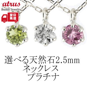 v`i y_ggbv fB[X a IׂVR S16 ꗱ lbNX Vv 2.5~  pt900 `F[ 40cm Mtg v[g lC WG[ LO a yŒZz