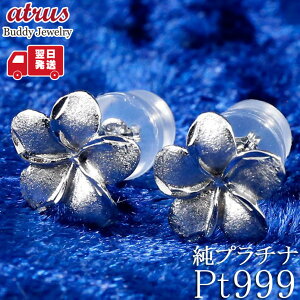  v`i sAX fB[X Vv nCAWG[ yA v`i999 vA X^bhsAX pt900 pt999 p lC yŒZz