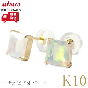 sAX fB[X yA 10 G`IsAIp[ ꗱ X^bhsAX CG[S[hk10 S[h 10k   p 10a lC yŒZz