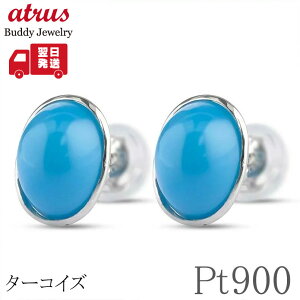 v`i ^[RCY sAX Pt900  X^bh VR 12a VvfUC fB[X ig yŒZz