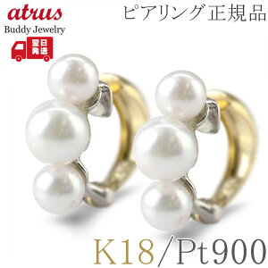 ピアリング k18 イヤリングの人気商品・通販・価格比較 - 価格.com