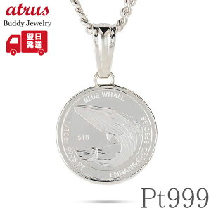 �y25%OFF�N�[�|���Z�[���z�y�ŒZ�����z ���v���`�i �R�C�� 1/10�I���X �y���_���g�g�b�v �약 �v���`�i pt999.5 �l�b�N���X ���j�Z�b�N�X �V���i�K�X�N�W�� �`���[���YIII������ pt900 2026�N