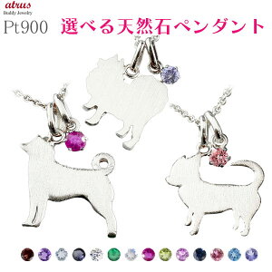 v`i y_ggbv fB[X Iׂ錢 Č ` |jA IׂVR ꗱ  pt900  Ck v[g Aj}   lC ig