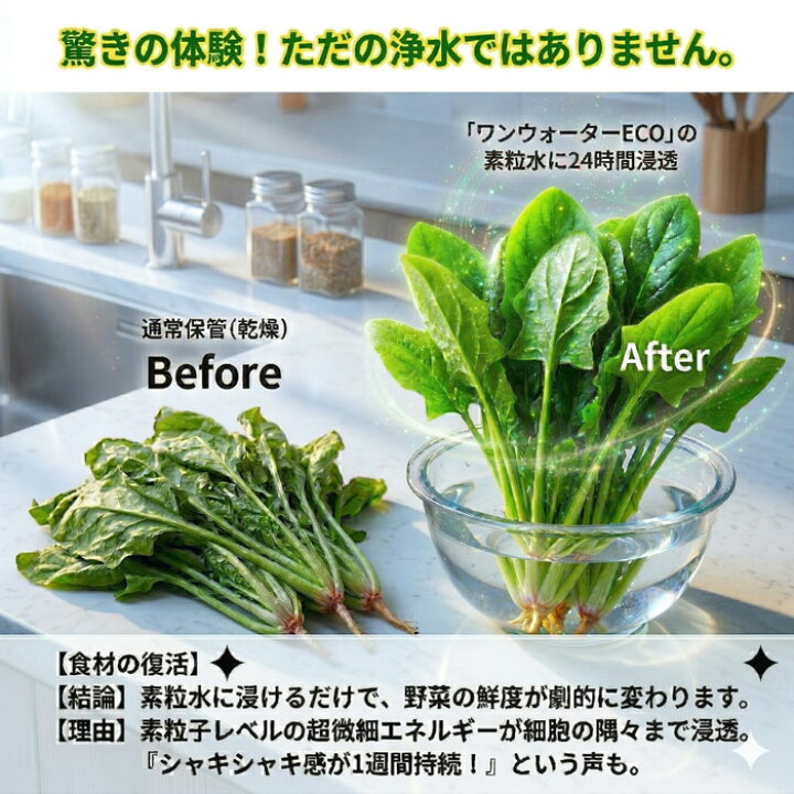 楽天市場】浄水器 蛇口直結型 素粒水 ワンウォーターECO 【正規代理店 