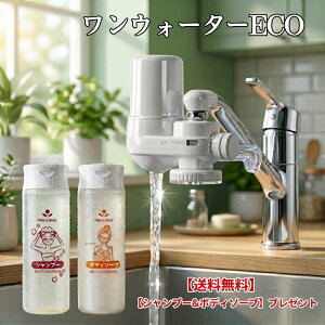 �򐅊� �֌������^ �f���� �����E�H�[�^�[ECO �{��2�N���������� ���f���� PFOS PFOA ���� ������ �Ҍ��� �N�x�ێ� ���~�� ���{�� �������� ���T�t �t���[�T�C�G���X �y���K�㗝�X�z