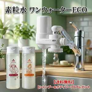 �򐅊� �֌������^ �f���� �����E�H�[�^�[ECO �{��2�N���������� ���f���� PFOS PFOA ���� ������ �Ҍ��� �N�x�ێ� ���~�� ���{�� �������� ���T�t �t���[�T�C�G���X �y���K�㗝�X�z