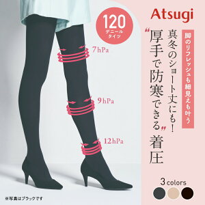 ^Cc  ~   120fj[ x[W ^Cc F ^Cc AcM fB[X  g ₦Ȃ h r L M ÓdCh~ uh rWlX NP2312