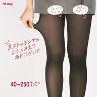 フェイクタイツ 発熱 静電気防止 ストッキング見えタイツ 40 80 110 140 250デニール 送料無料 秋冬 防寒…