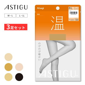 3足セット 発熱ストッキング アスティーグ 【温】 暖かい ストッキング 防寒 ベージュ 厚手 アツギ あったかい 黒 astigu AP6011 冷えない タイツ あったか 発熱 冷え性 エコ ブランド レディース ビジネス 通勤 無地 肌色 ブラック