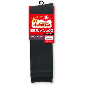 【4日20時〜2h限定半額クーポン】ホカロン ふわふわ裏起毛ハイソックス あったか 暖かい 冬コーデ 寒い日に 防寒 冷え防止 寒さ対策 おでかけ 靴下 くつ下 ブランド アツギ FS10550