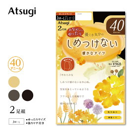 【限定クーポン&P3倍〜11/16】ゆったりサイズ 2足組 タイツ 40デニール しめつけない PS88402P 吸汗 婦人 女性 レディース ビジネス ベージュ 黒