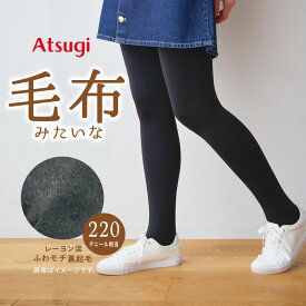 レーヨン混 毛布みたいなタイツ 220デニール相当 防寒 冷え対策 通勤 通学 レディース ホットコンフォート hotto comfort TL1951