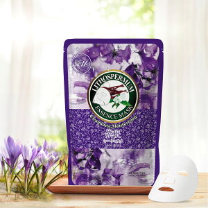 F V[YMT605 FZNg605tFCVGbZX}XN-NAێ yMTSA00605-C-1z