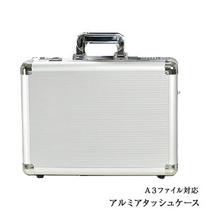  A^bVP[X A~A^bVP[X Y A3 y y e A3t@C _Ct A~ rWlXobO u[tP[X tCgP[X pCbgP[X V