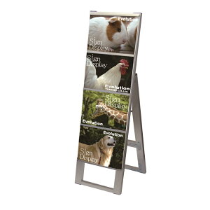 J[hP[XX^hŔ B54Жʁ@CCSK-B5Y4K@B5TCY4tEЖʃ^Cv