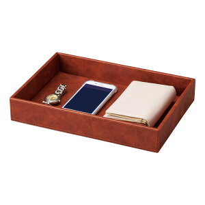 AjeB&ړIP[X W300×D210×H50mm uE @AT-341C (Aim)