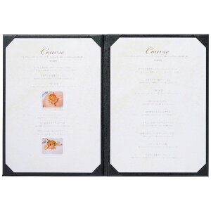 mj[ubN@A4E2y[W Жʃ^Cv CLB-42(2P) R[i[tj[ (Aim)