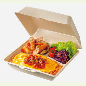 パルプモールド容器 3つ仕切り ナチュラル 100個 ※電子レンジ可 ※在庫/納期 要確認商品 ※北海道・沖縄・離島 送料別途 KM-58-T-NAT