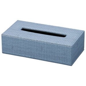 ティッシュボックス ブルー W262×H77×D138mm 合皮 ティッシュケース(大) CTC-201A えいむ(Aim)