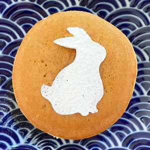 JtFA[gXeV@3@KN@@{@a@LAS-0109@eEA[g@fUCJv`[m