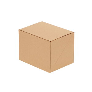 �J�b�g�P�[�L���i1�p�j�@�l�I�N���t�g�P�[�LBOX�@SS 100���@������E���� �����ʓr�@���l��z���s�@4248400