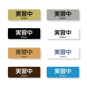 KobW5@}[NȂ@Intern@w 60×20mm@sENbvp^Cv@AONP-0011