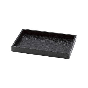 AjeB&Z[teBgC ubN W255×D178×H27mm LAT-70 (Aim)