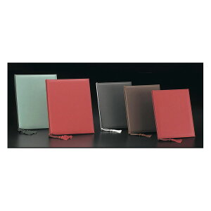 mj[ubN A4E4y[W R^Cv LB-241 \tgsAj[ (Aim)