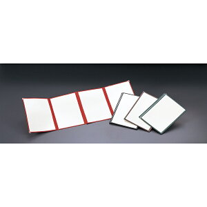 NAj[ubN A4E8y[W ωJ4c܁@󒍐Y@TA-48W NAe[sOj[8P 