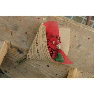 �N���t�g����@190x265mm �����V�[(�V���R��) 100������ 36500008