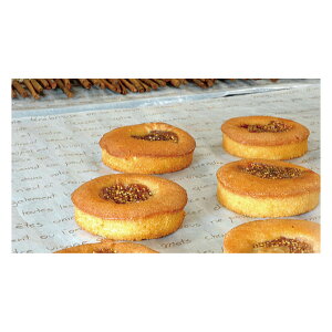 OVV[g@254x254mm tZ(x[W) 500 36500105